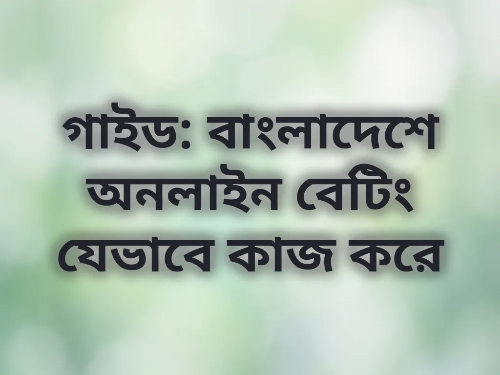 বেটিং সিস্টেম গাইড